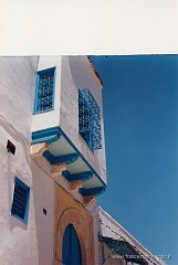 13.jpg  13